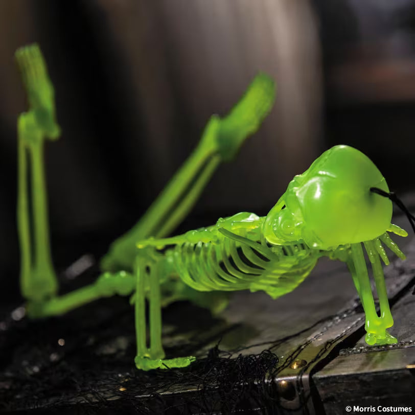 16IN GID SKELETON SET OF 3