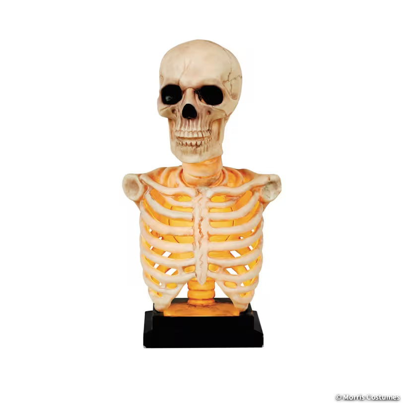 SKELETON BUST