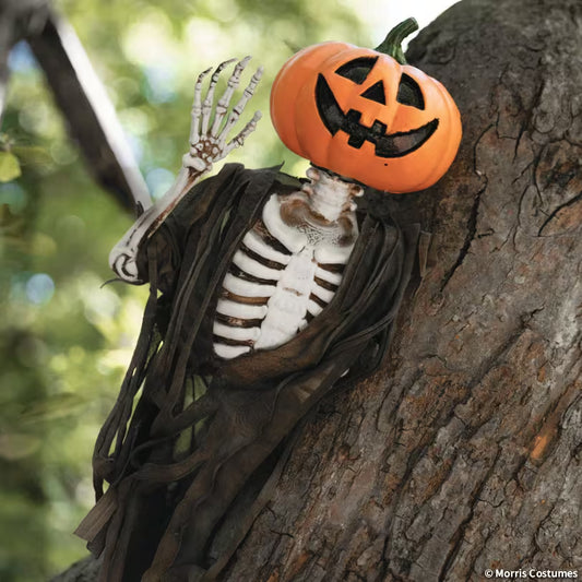 PUMPKIN CREEPER