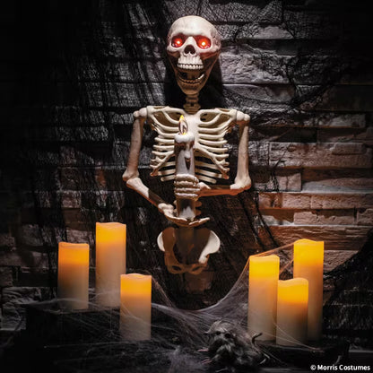 SKELETON WALL SCONCE