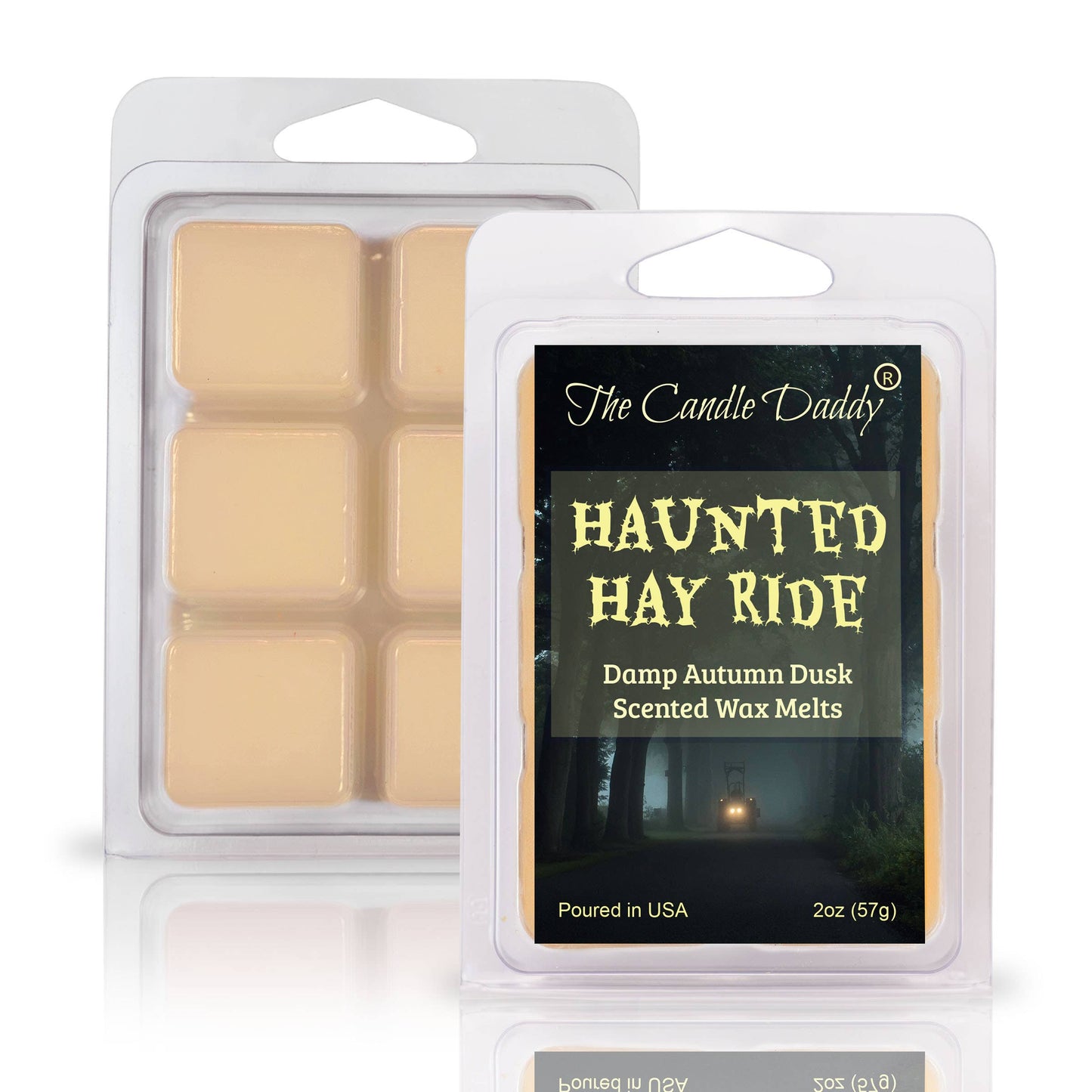 The Candle Daddy - HAUNTED HAY RIDE - DAMP AUTUMN DUSK HALLOWEEN SCENTED WAX