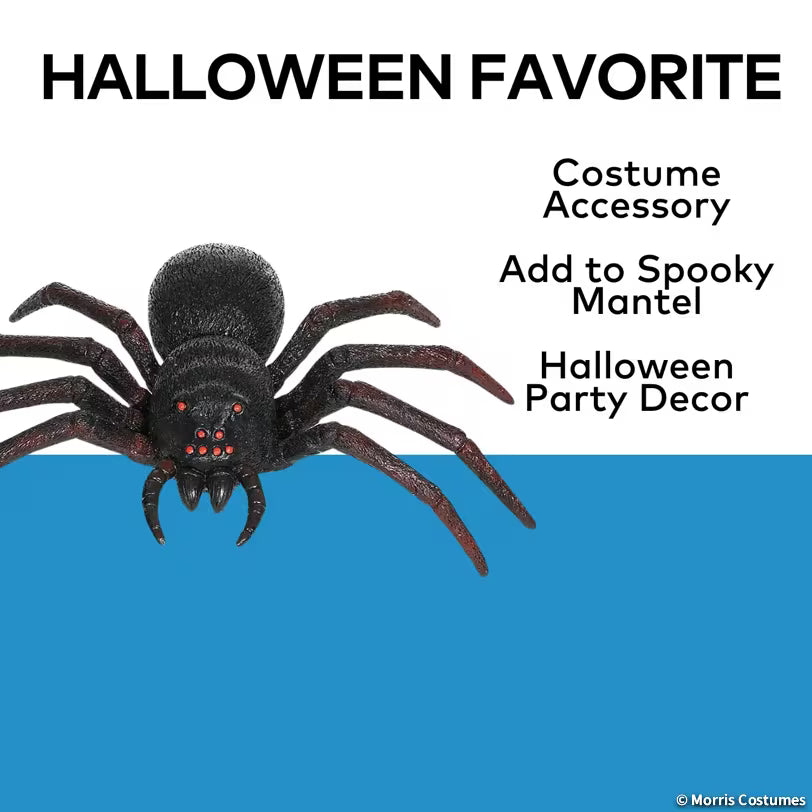 20" Black Plastic Spider