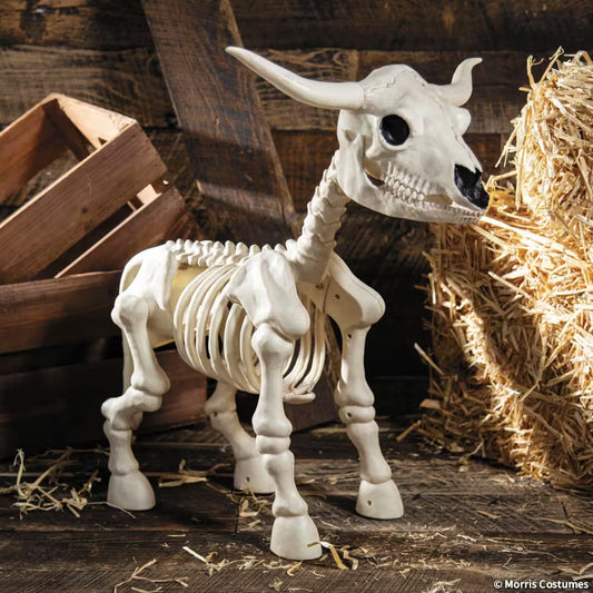 STEER SKELETON