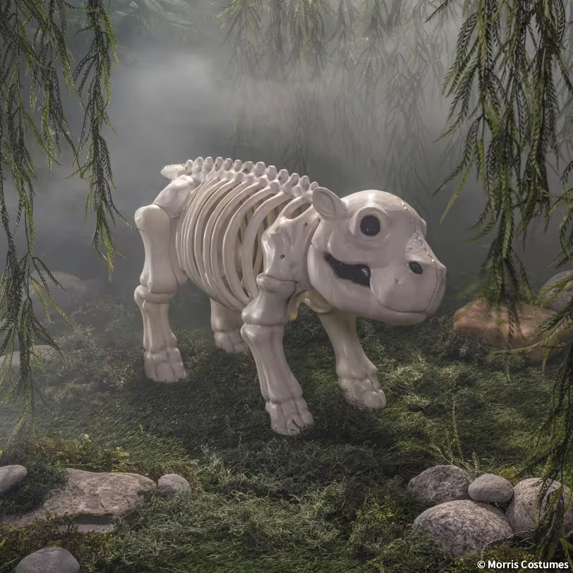 CUTE HIPPO SKELETON
