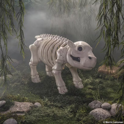 CUTE HIPPO SKELETON