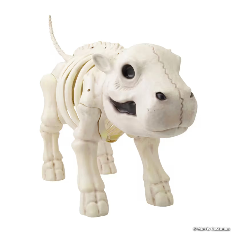 CUTE HIPPO SKELETON