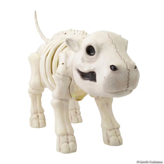 CUTE HIPPO SKELETON