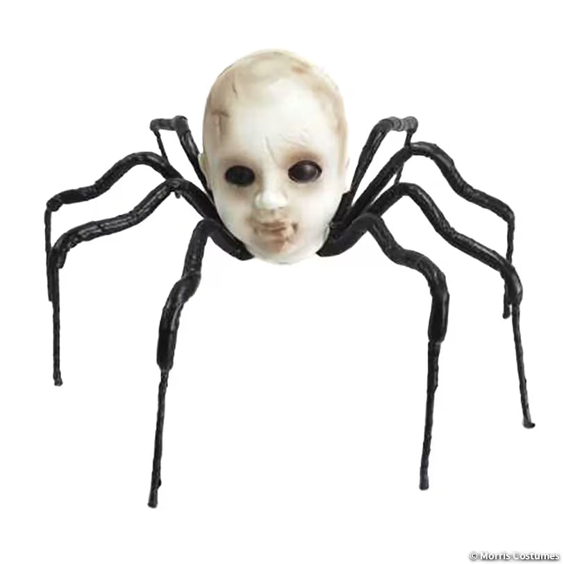 BABY HEAD SPIDER 23.5IN