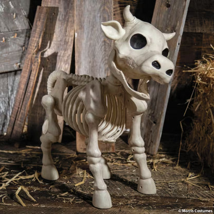 COW SKELETON