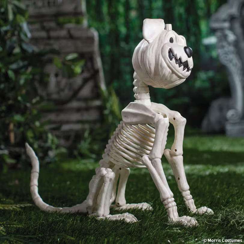 PUMPKIN DOG SKELETON