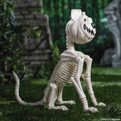 PUMPKIN DOG SKELETON
