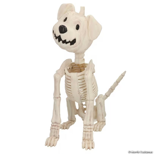 PUMPKIN DOG SKELETON