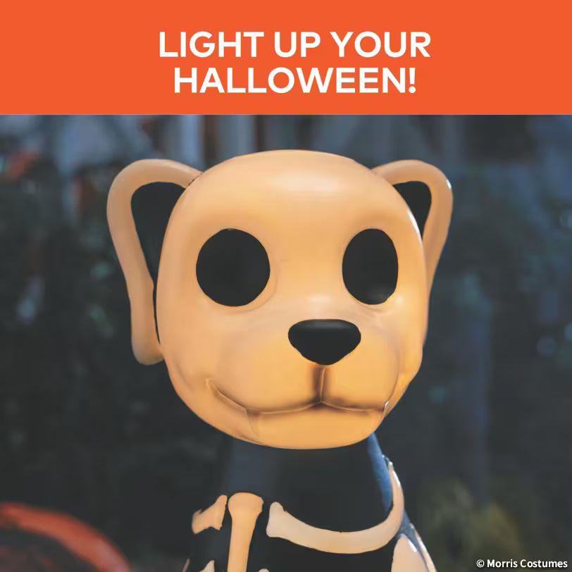 24IN BLOW MLD SKELETON DOG W C7 LED LGHT