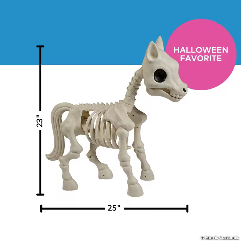 PONY SKELETON
