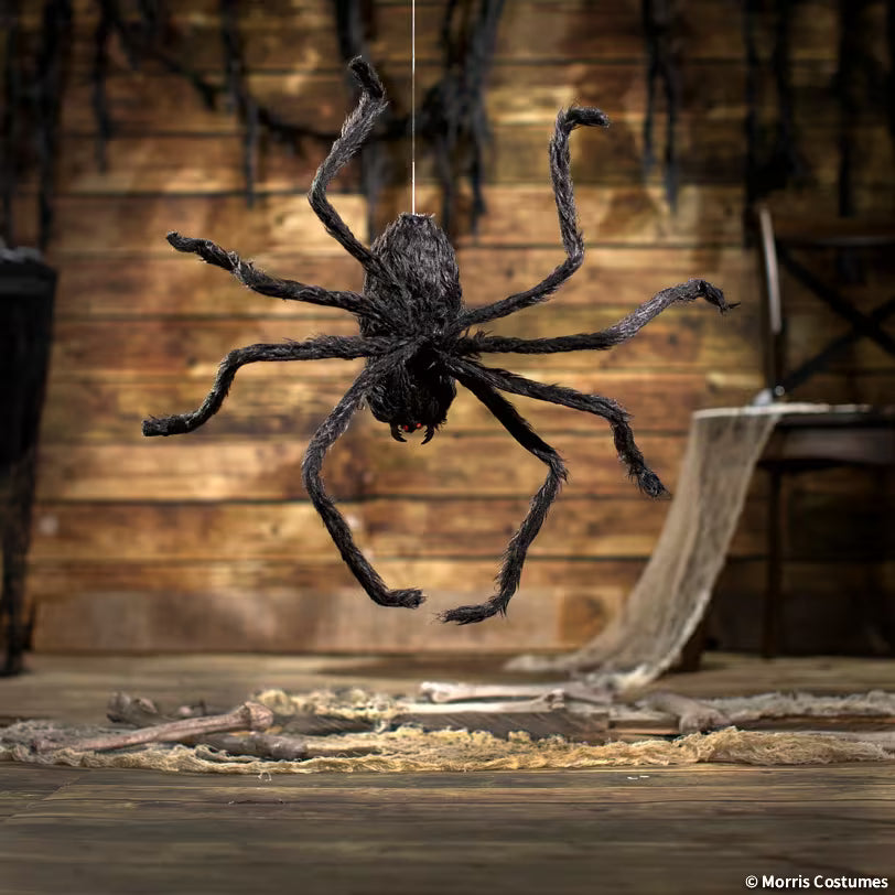 ANIMATED SPIDER