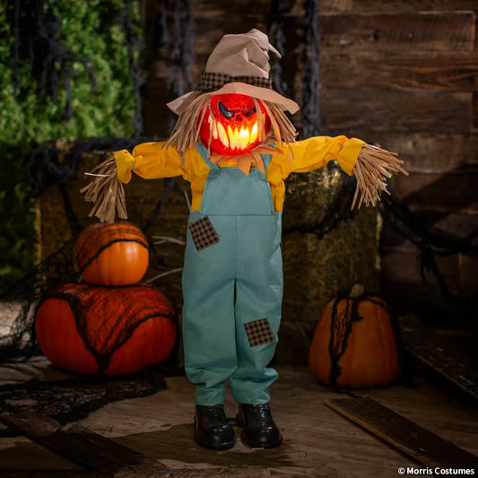 35 1/2" Light-Up Standing Sonic Scarecrow Halloween Decoration