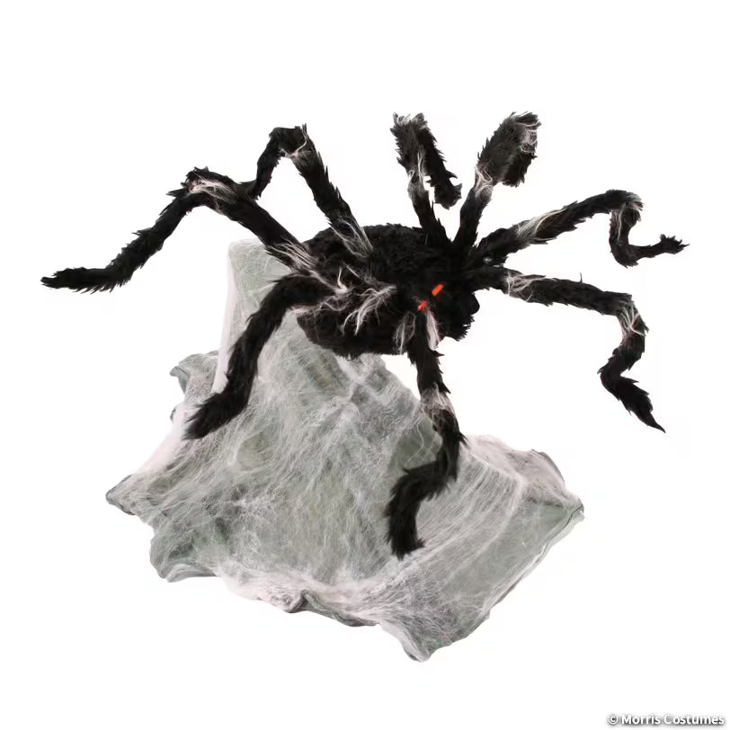 36" GIANT JUMPING SPIDER