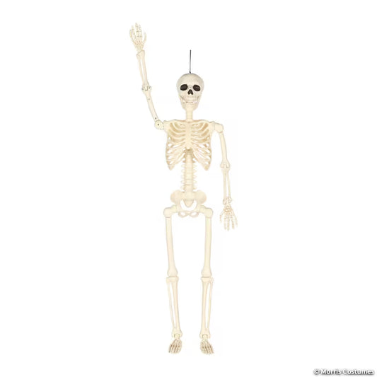 36" Multi Pose-n-stay Skeleton