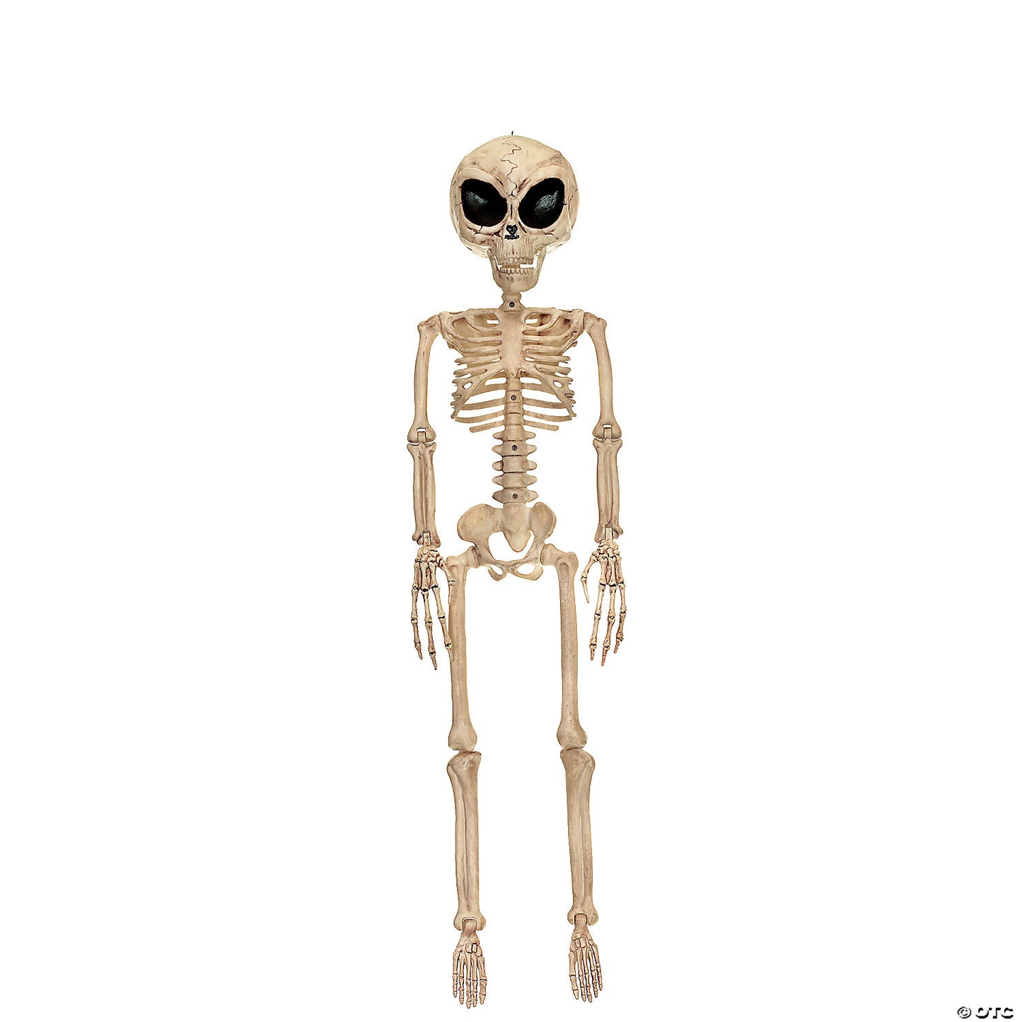 ALIEN SKELETON DECORATION