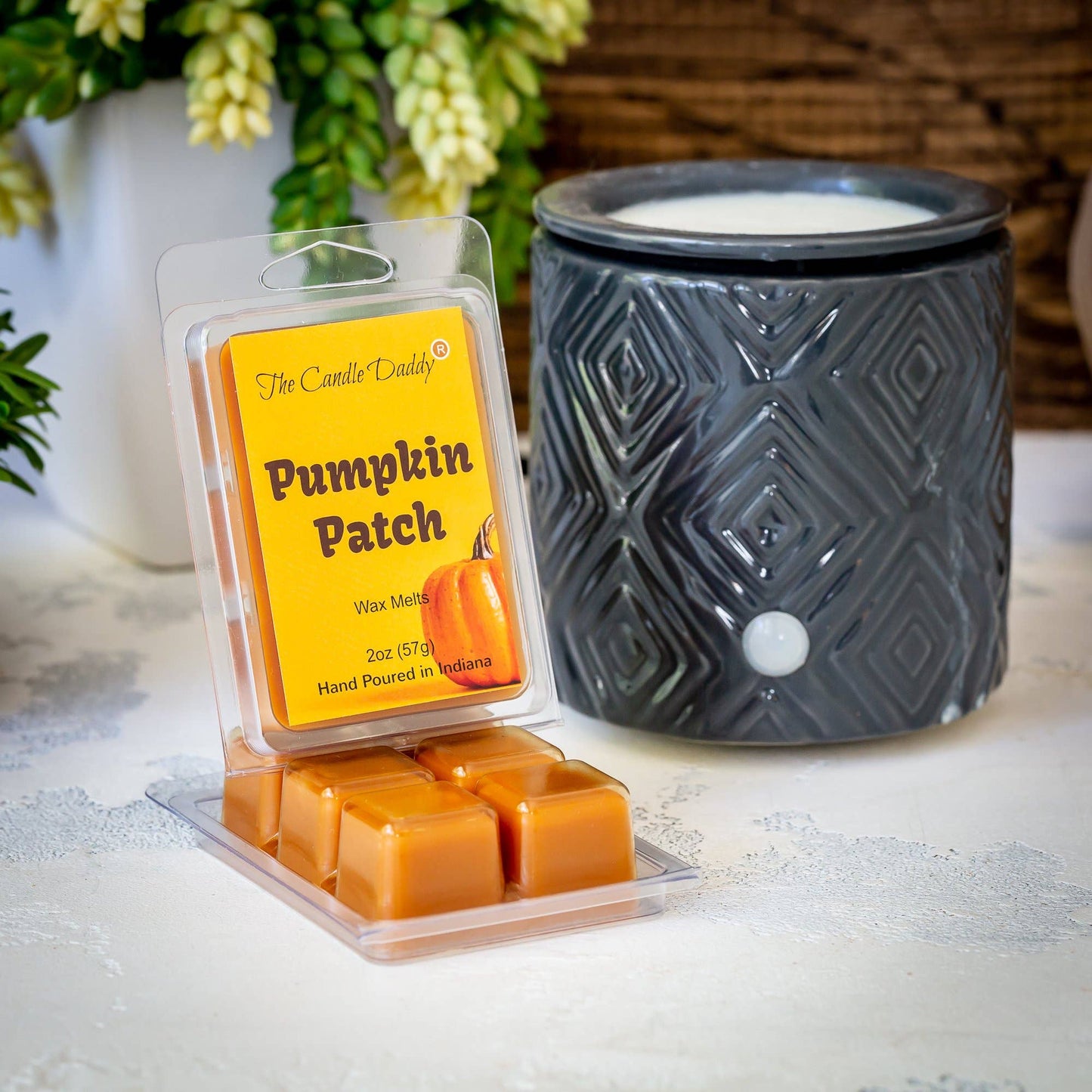 The Candle Daddy - Pumpkin Patch - Pumpkin Scented Wax Melt Cubes - 2 Ounces