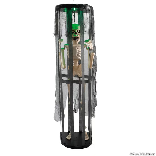SHAKE CAGE SKELETON