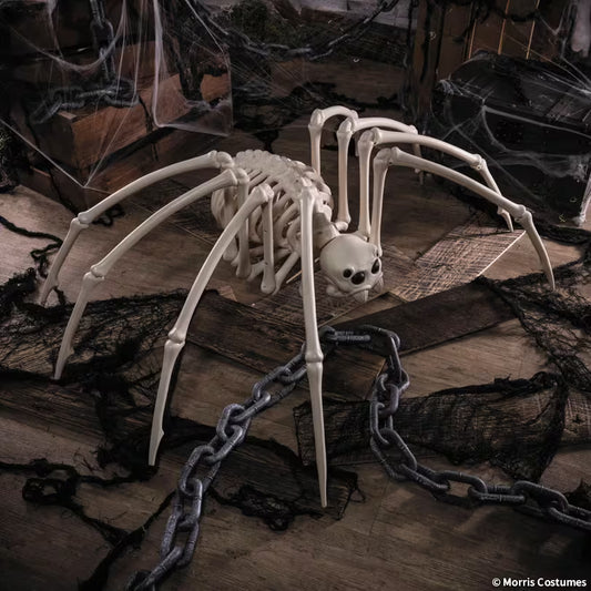 SKELETON SPIDER