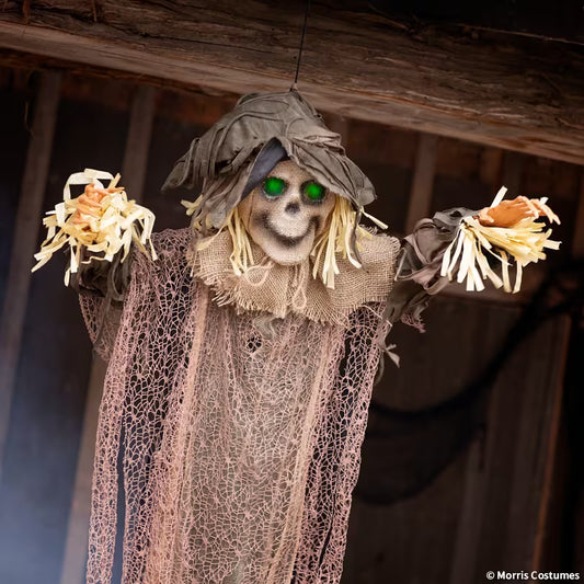 43 1/4" x 70 3/4" Light-Up Hanging Skeleton Scarecrow
