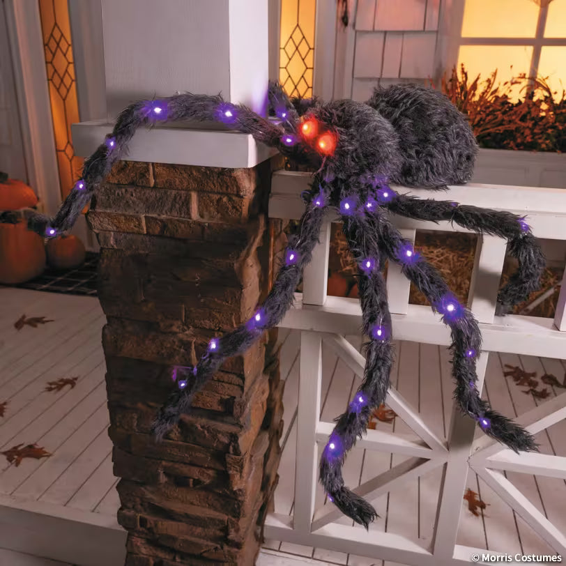 LIGHT-UP SPIDER