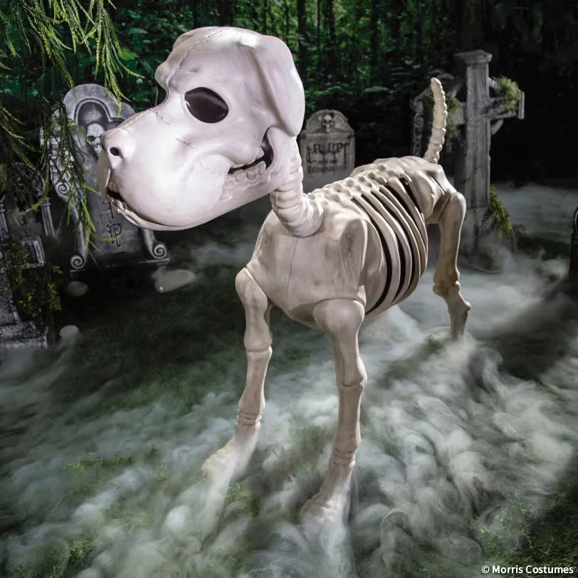 48IN DOG SKELETON