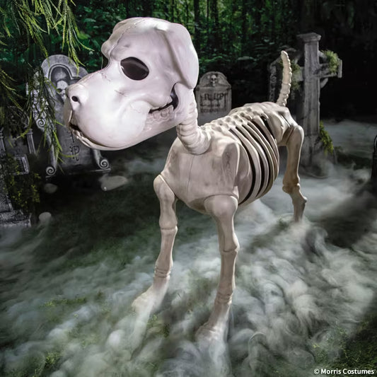 48IN DOG SKELETON