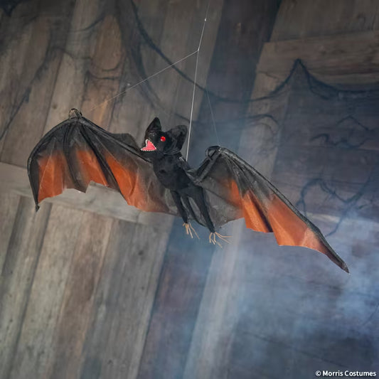 VAMPIRE BAT