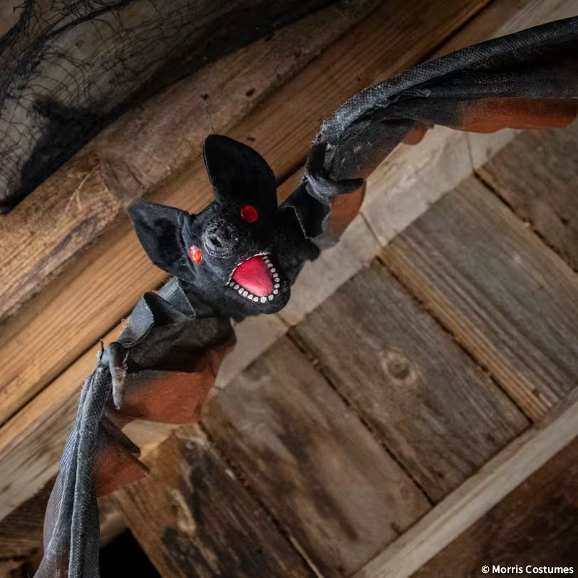 VAMPIRE BAT