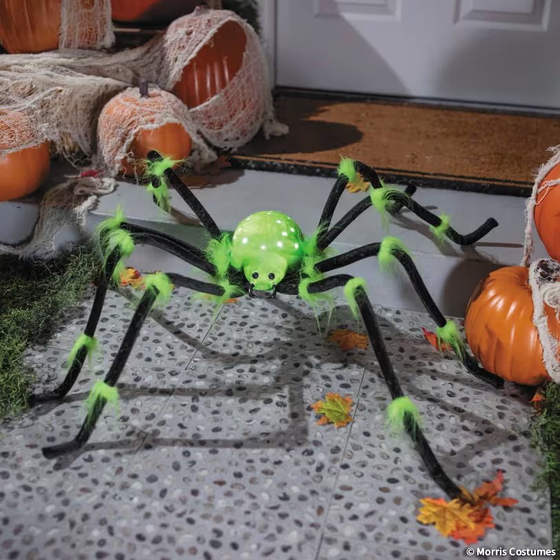 ILLUMINATED SPIDER