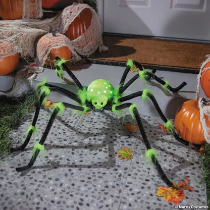 ILLUMINATED SPIDER