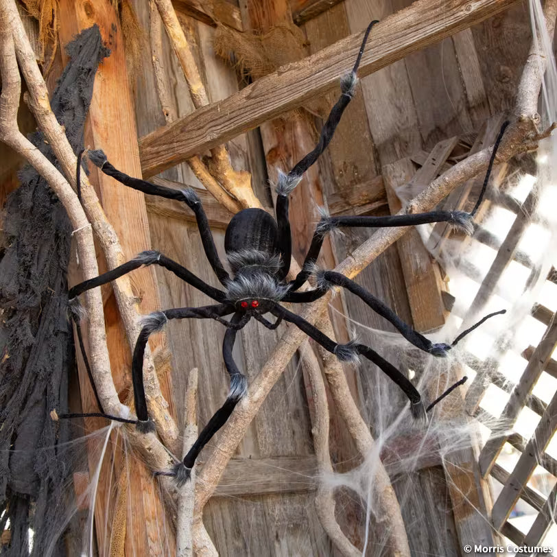 55" Poseable Hairy Joints Black Wolf Spider Halloween Decoration