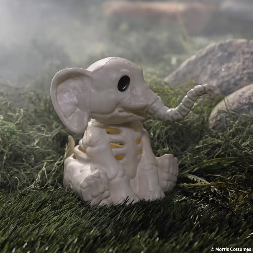 ELEPHANT SKELETON SM