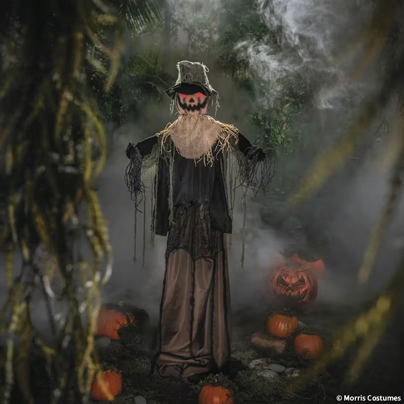 6FT ANIMATED RISING SCARECROW
