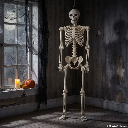 60" Multi Pose-n-stay Skeleton