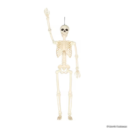 60" Multi Pose-n-stay Skeleton