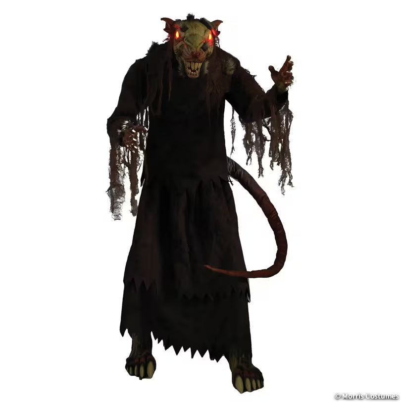 60 INCH MANGEY RAT