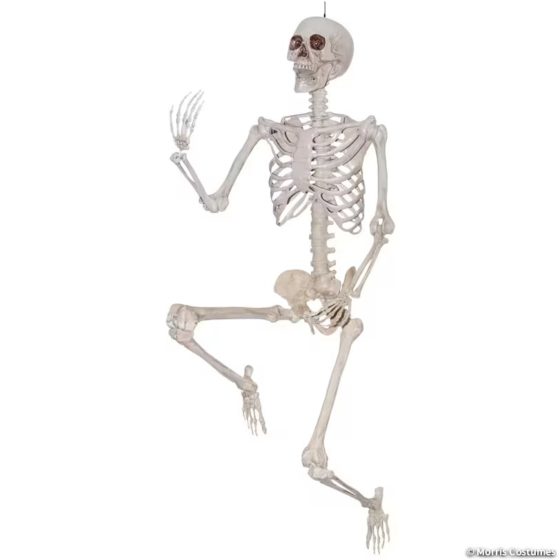 SKELETON TITAN