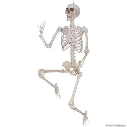 SKELETON TITAN