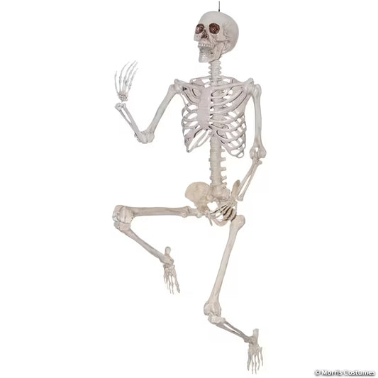 SKELETON TITAN