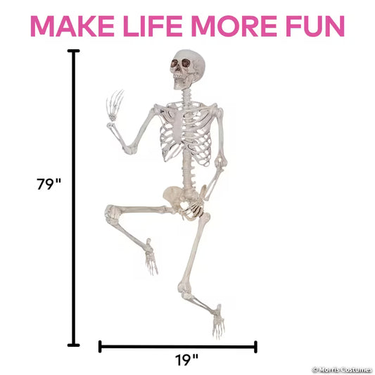 SKELETON TITAN