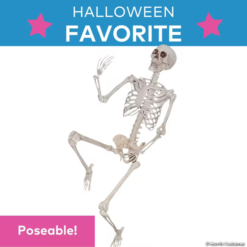 SKELETON TITAN