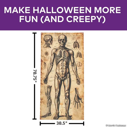 6.5 FT ANATOMY DOOR CURTAIN