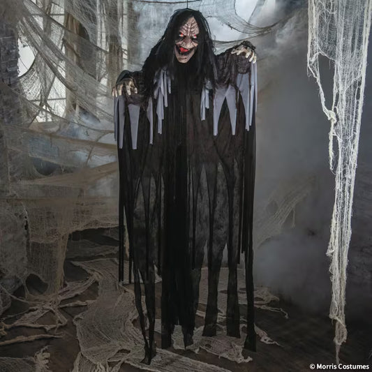 6FT HANGING TALKING WITCH