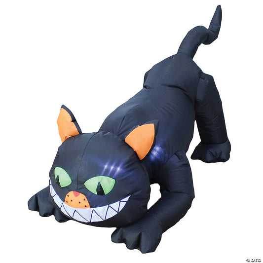 BLACK CAT 6.5 FT LONG