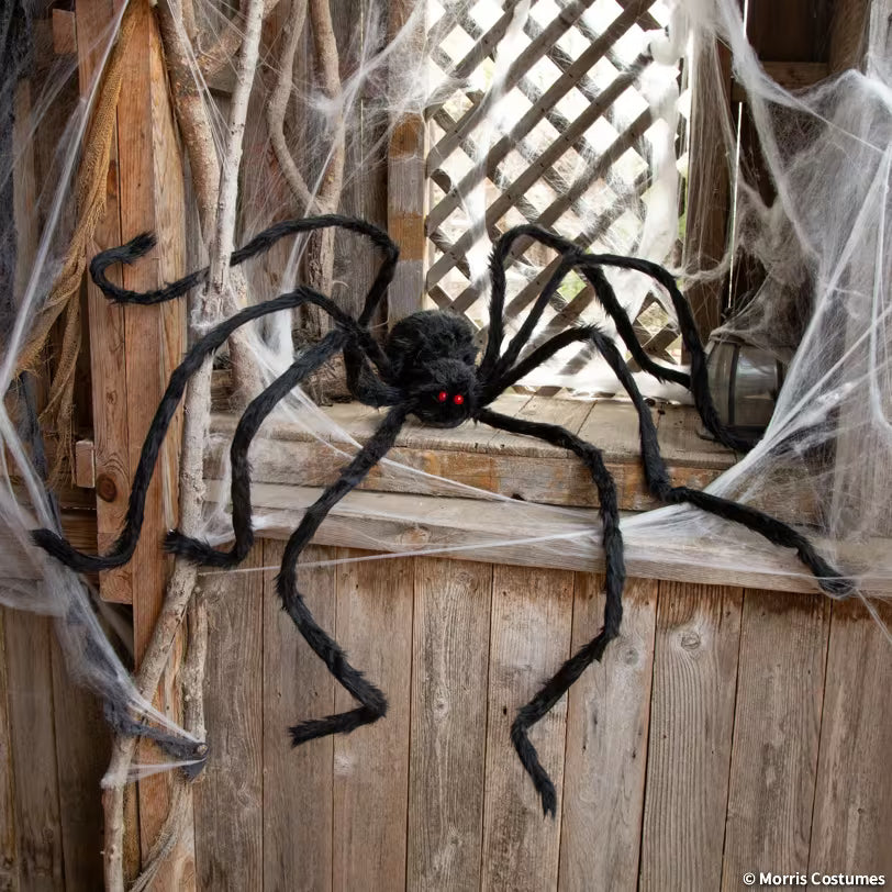 BLACK SPIDER