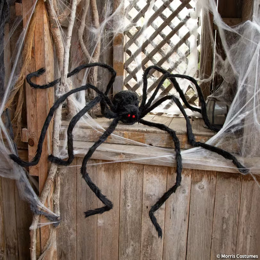 BLACK SPIDER